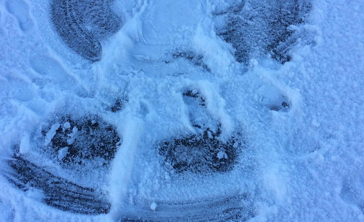 Image of Year 3 Snow Angels